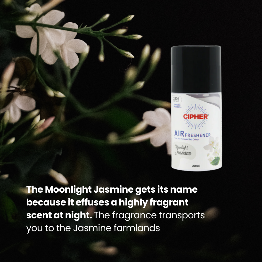 Air Freshener Refill Moonlight Jasmine 250ml